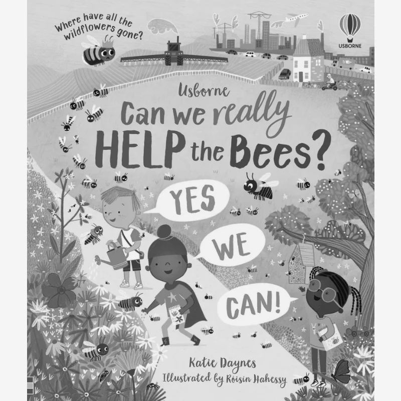 

Can We Really Help The Bees Katie Daynes Usborne Publishing 9781474997621 Book
