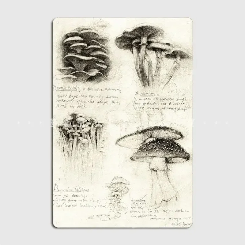 Pilz-Poster, Metallplakette, Club- und Heimwandbild, lustige Plaketten, Blechschild, Poster