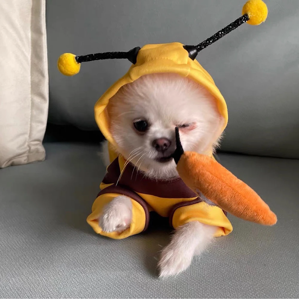 Hundekleidung Herbst/Winter Schnatzer Teddy Kleiner Welpe Katze Haustierkleidung Hoodie Bienen verwandeln sich in Partyzubehör Bienenanzug