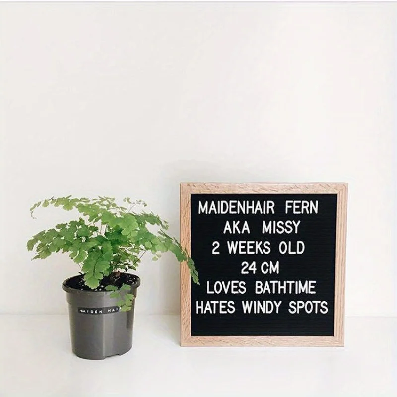 INS Felt Alphabet Board with Wooden Displays Stand Felt Message Board Letter Memo Board Decoration Baby Hundred Days Photo Props