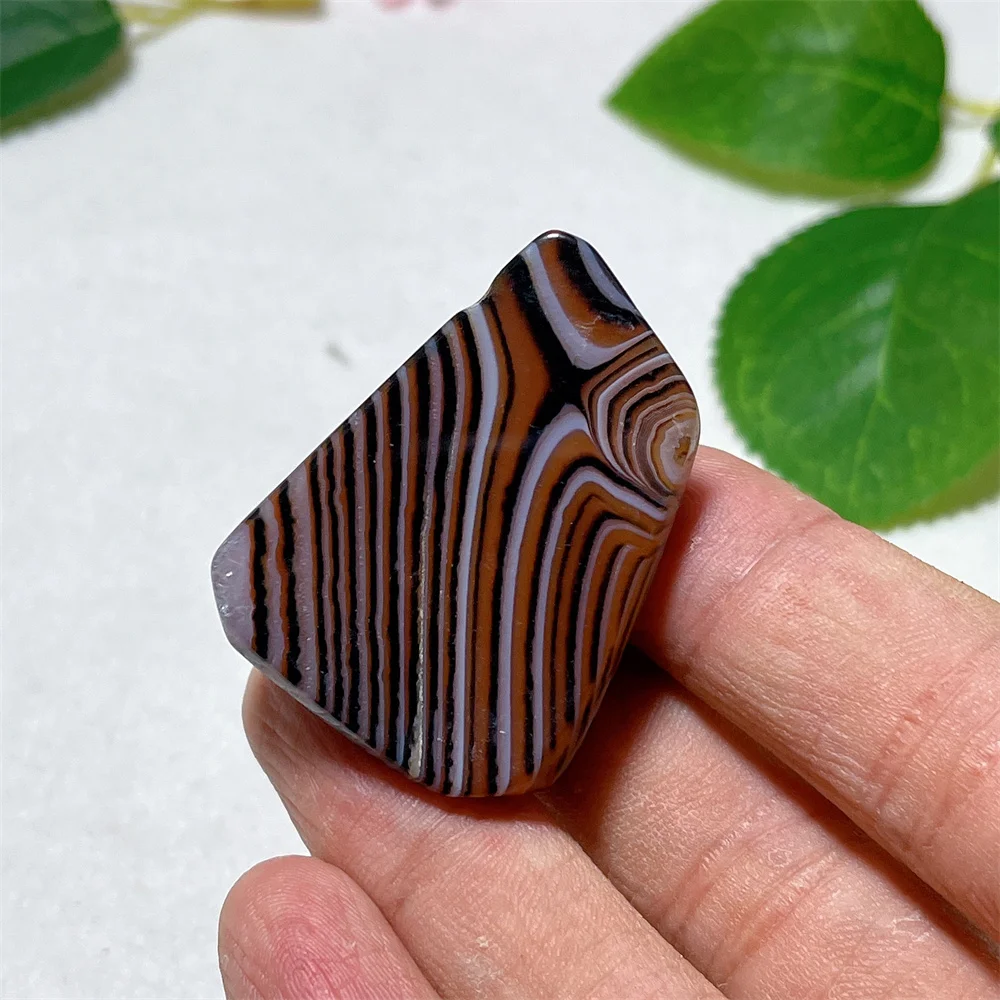 

Red Agate Palm Stone Quarzt Crystal Natural Lice Energy Stone Mineral Specimen Feng Shui Room Ornaments Desktop Decoration