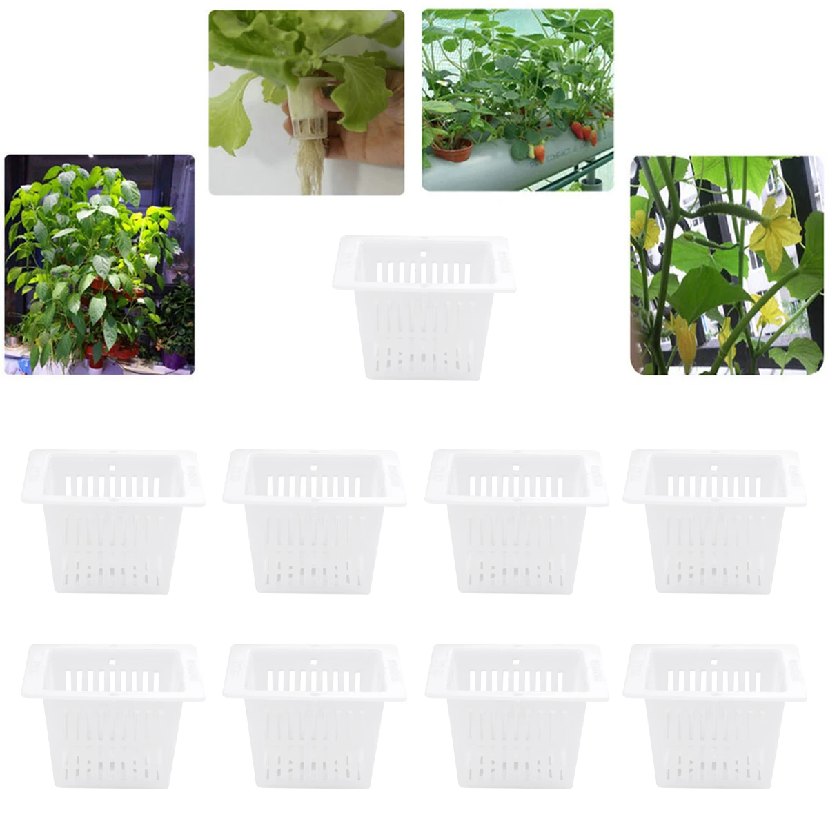 

20 Pcs Planting Baskets Hydroponic Vegetables Soilless Plastic Net Cups Promote Growth Aeration Roots Drainage