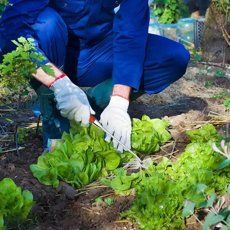 豚-手動除草ツール,5歯,手動除草機,抽出機,除草アーティファクト
