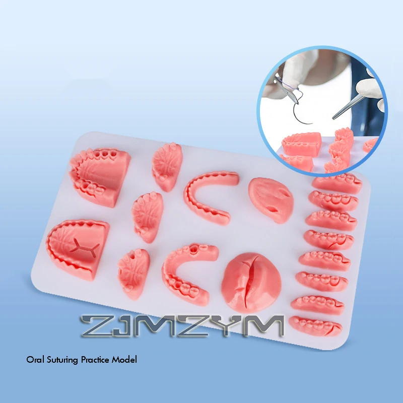 module-de-formation-en-suture-orale-dentaire-avec-plaque-de-base-modele-d'entrainement-en-silicone-pour-l'apprentissage-de-la-suture-orale
