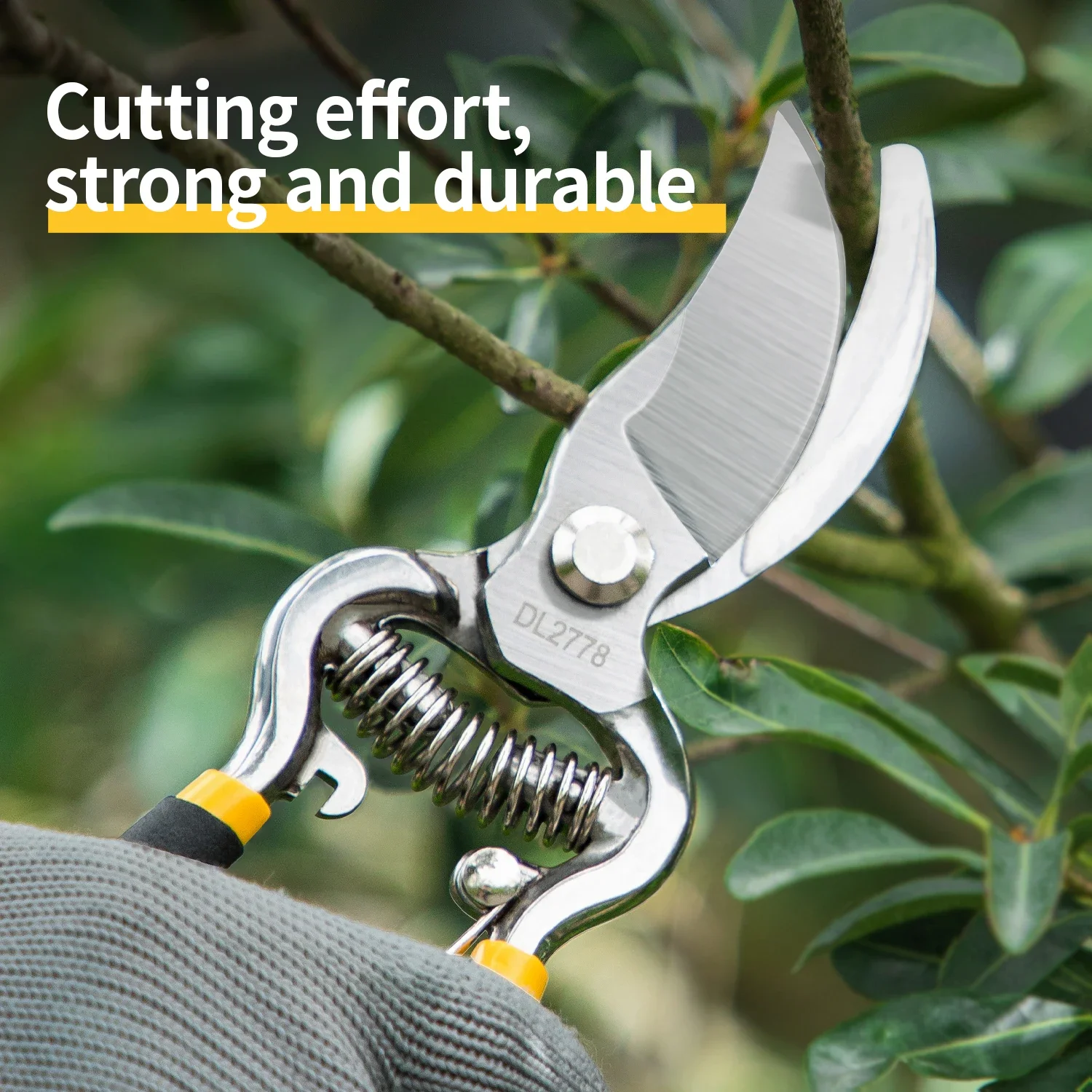 Imagem -03 - Deli-garden Horticulture Pruner Shears Sk5 Lâmina Poda Tesoura para Bonsai Árvores Frutíferas Flores Ramos 8