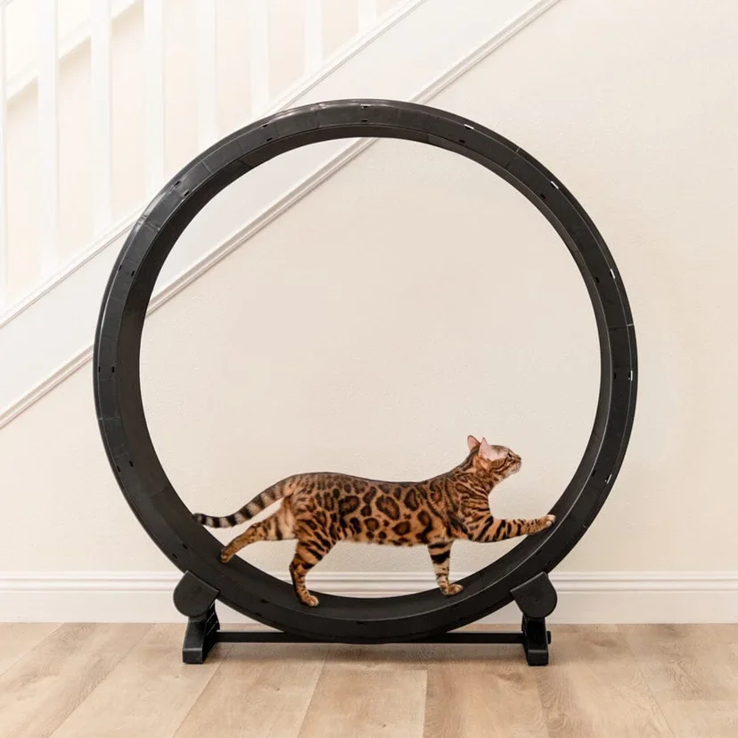 Cat Running Silent Home Interactive Toy Cat Exercise Pet Treadmill Wheel