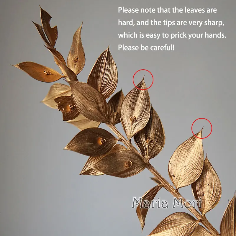 Ruscus aculeata L. Natural Dried Flowers Gold Silver Crystal Glue Handmade Candles Epoxy Flowers Home Decoration Wedding