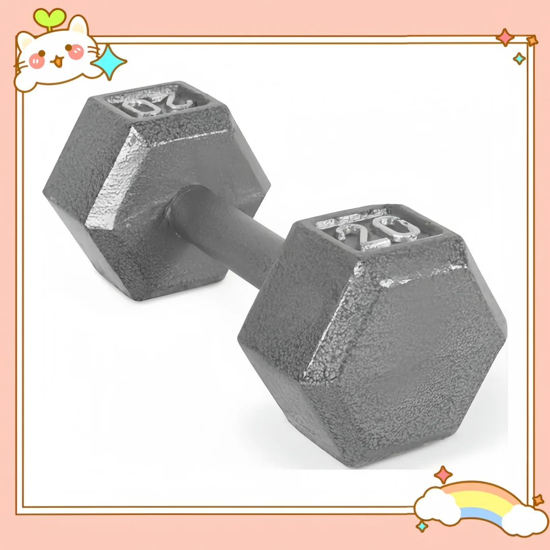 دمبل سداسي 20 رطل لصالة الألعاب الرياضية المنزلية، وتدريبات القوة، ومعدات اللياقة البدنية للرجال والنساء