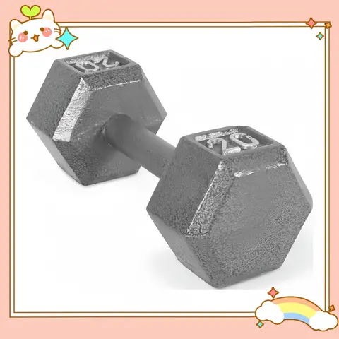 Manubrio esagonale da 20 libbre per palestra domestica, allenamento per la forza, attrezzature per il fitness per uomini e donne