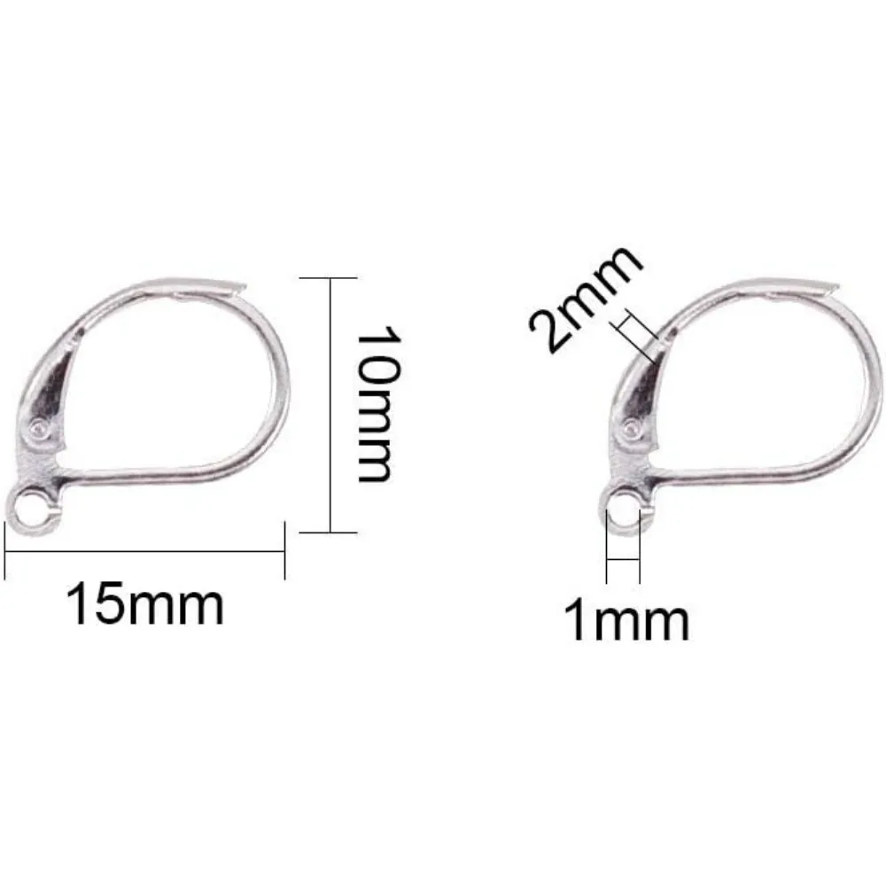 50 Pcs 304 Stainless Steel Leverback Earring Findings with Loops Metal Interchangeable Leverback Earwires French Hook Earring