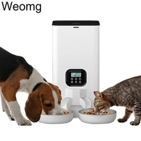 6L Double Meals Smart Automatic Pet Feeder Stainless Steel Bowls Button WiFi Food Dispenser With Timing Feeding For Cats Dogs