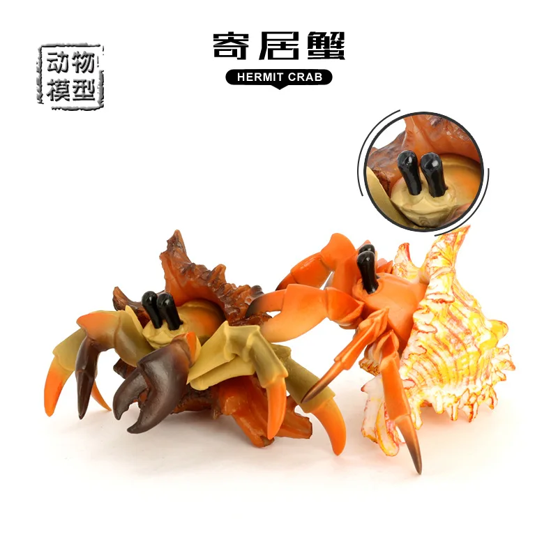 محاكاة النماذج البيولوجية لأرضية البحر البحرية حيوانات بلاستيكية صلبة، سلطعون الناسك، ألعاب السلطعون، زينة هدايا للأطفال #1