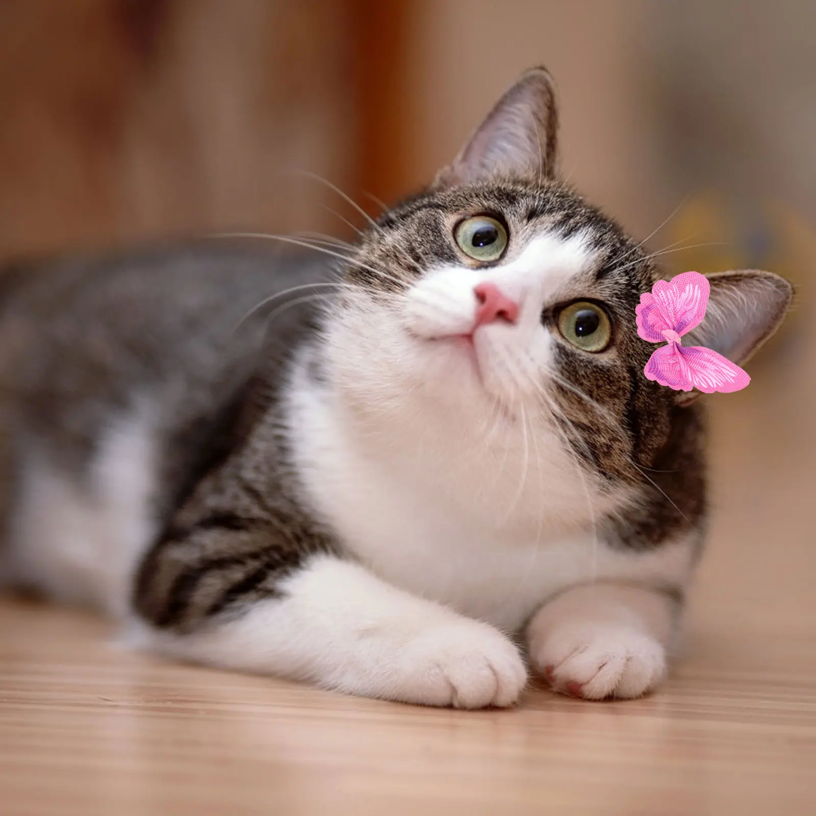 

30pcs Pet Accessories Dog Bow Hair Tie Colorful Bows For Dogs Decorative Rubber Band Puppy Cat Hair Decor Party Prop