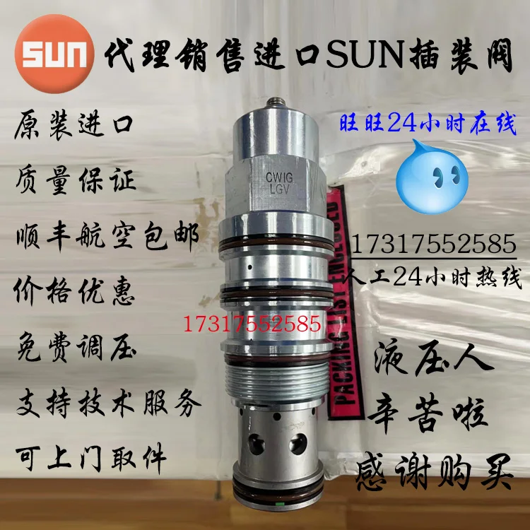 Original CWIGLGV Imported SUN Cartridge Valve Pressure Ratio 5:1 Balance Valve With External Interface CWIG-LGV