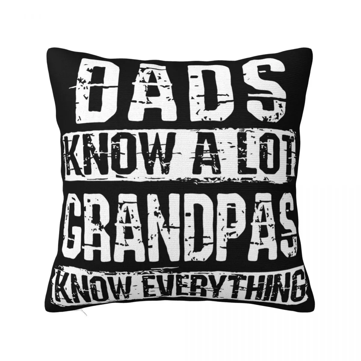 Mens Grandpa Grandpa Knows Everything Funny Grandfather Gift Ban Fitness Cartoon Pillow Case