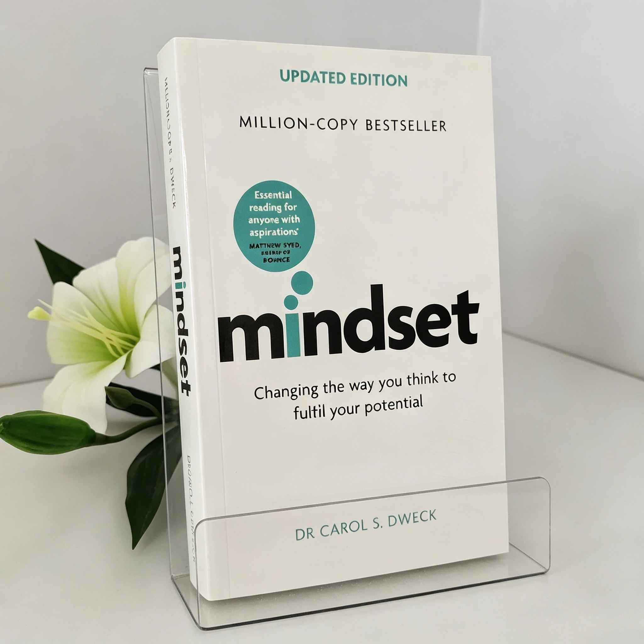 Mindset, édition mise à jour par Dr Carol S. Dweck : changer la façon de penser pour réaliser votre potentiel (livre en anglais)