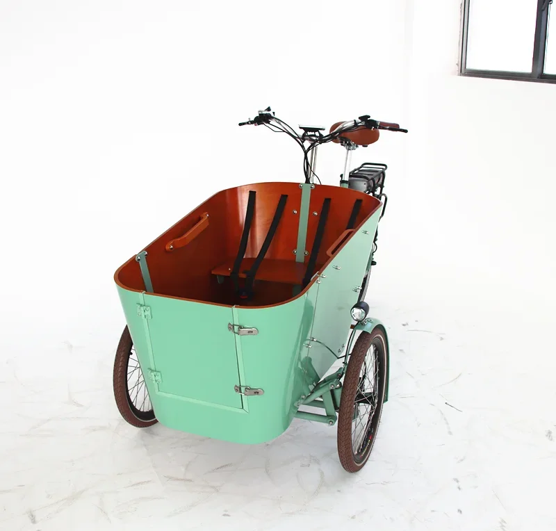 

Front Two Wheel Loading Electric Three Wheel Cargo Tricycle for Euro Market