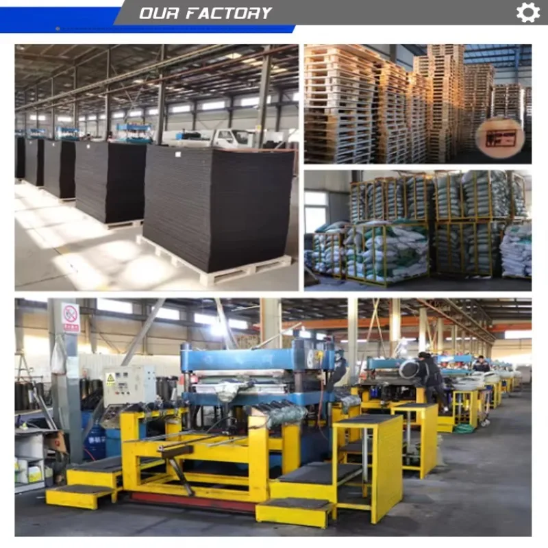 الدمبل المطلي - معدات اللياقة البدنية متعددة الاستخدامات للرجال والنساء والمراهقين، توريد المصنع مباشرة للاستخدام المنزلي والتدريبات غير الرسمية #6