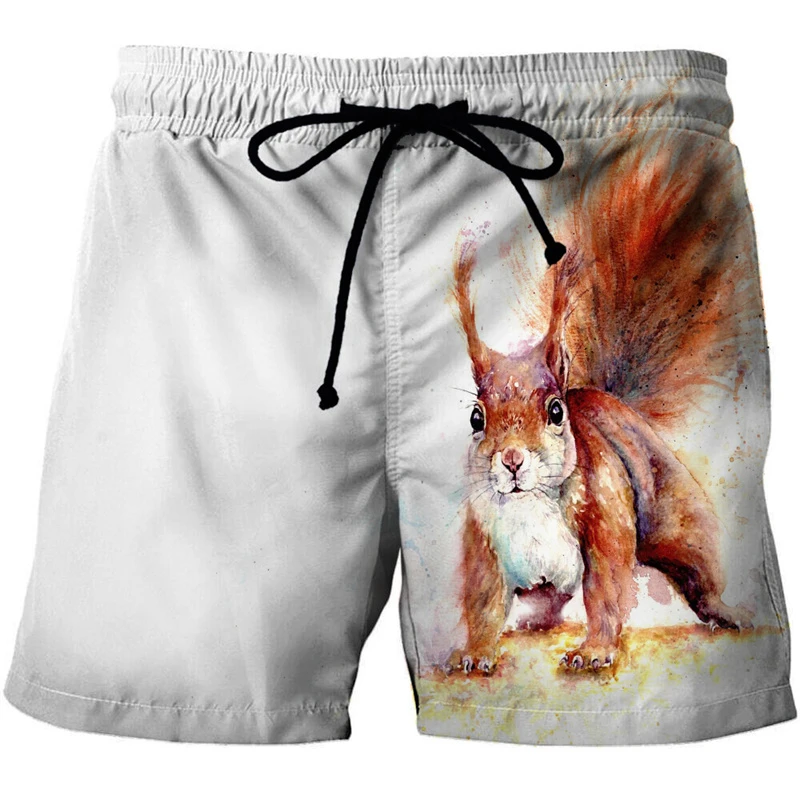 Pantalones cortos de playa con estampado de animales para hombres y mujeres, pantalones cortos de playa con patrón 3D de ardilla, pantalones cortos