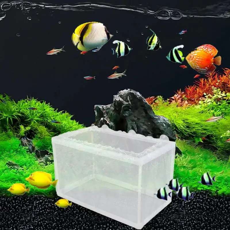 Fish Breeder Box Fish Isolation Box Mesh Box Fish Fry Hatchery Juvenile Separation Net With Suction Cups Nursery For Guppy