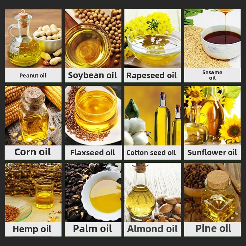 Commercial Multifunctional Oil Press  Mill Automatic Walnut Peanut Oil Press