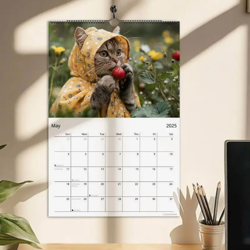 2025 القطط التقويم القط تفعل الأشياء 2025 تقويم الحائط 12 شهر مخطط مضحك الحيوان شنقا التقويم الشهري