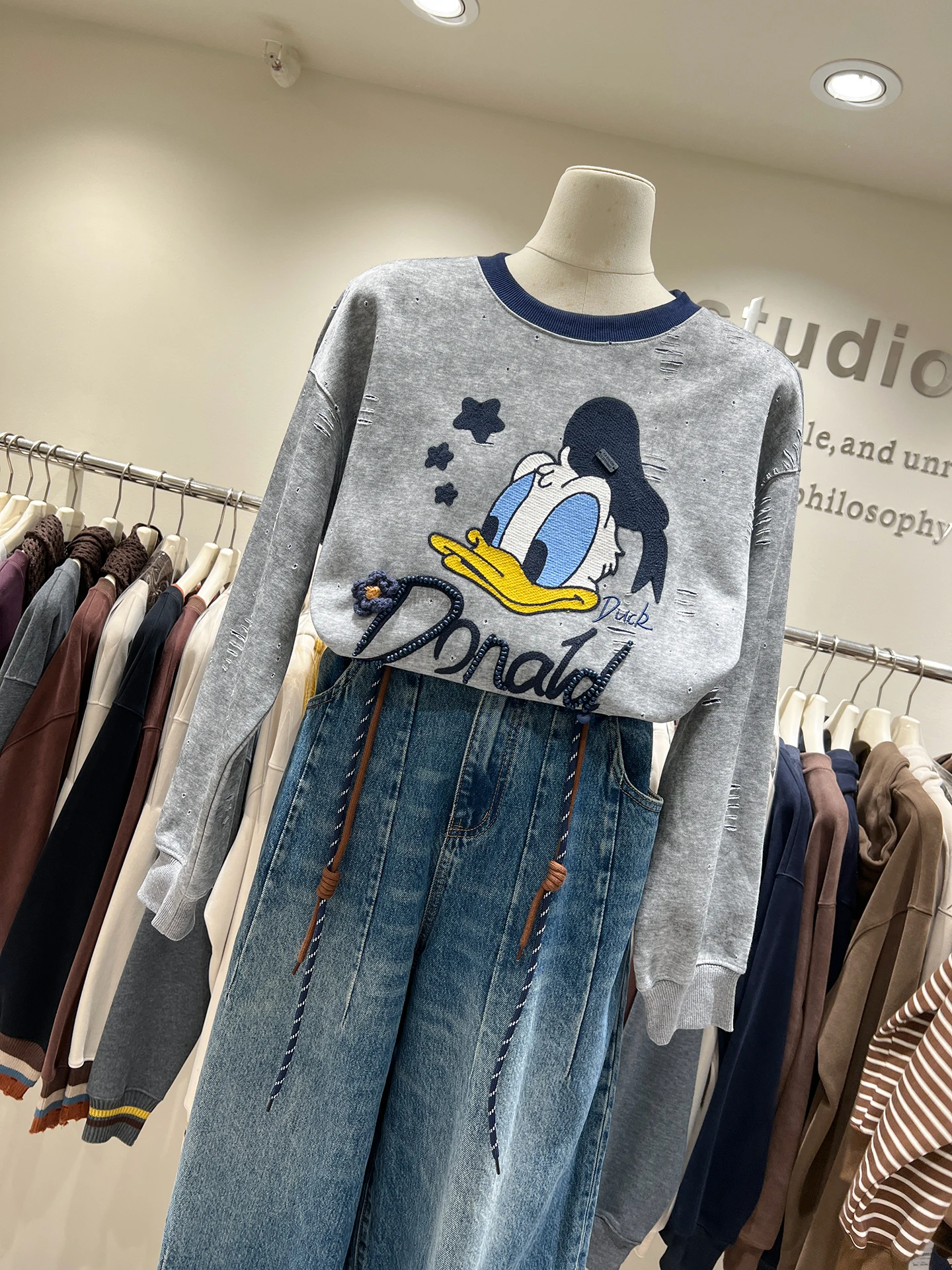 European Style Cartoon Print Crew Neck Sweatshirt for Women 2025 Autumn New Embroidery Color Block Duck Pullover Top