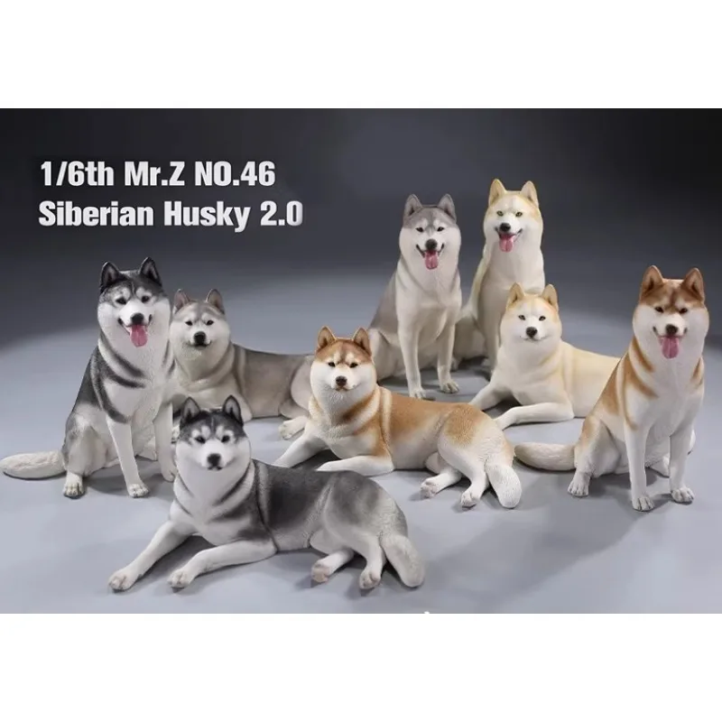 

В наличии: Модель собаки-хаски в масштабе 1/6 для декора дома и украшения автомобиля