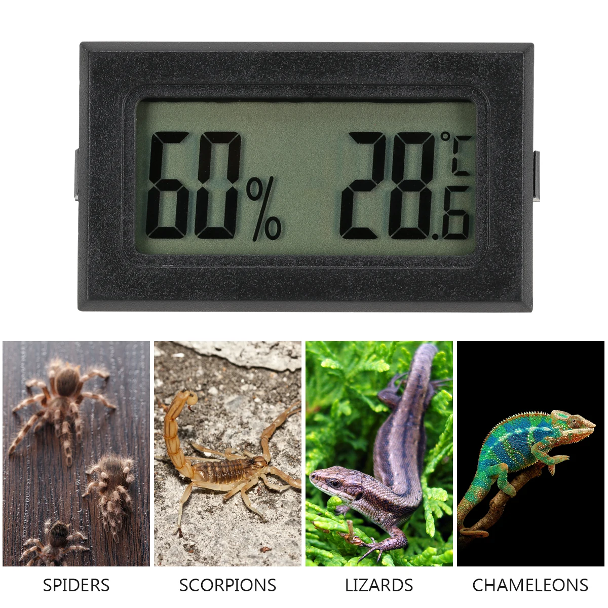 

2 Pcs Digital Hygrometer Thermometer Wireless LCD Display Reptile Pet Gauge Brooder Box ABS Mini Size Accurate Measurement