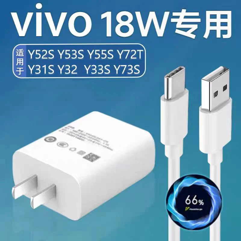 

For VIVO 18W Fast Charger EU Power Adapter For VIVO Y35 Y21 Y31S Y33s V17 S9 Pro Y39 Y27 Y78 Y50 Y52 S Y37 Y53S + Type C Cable