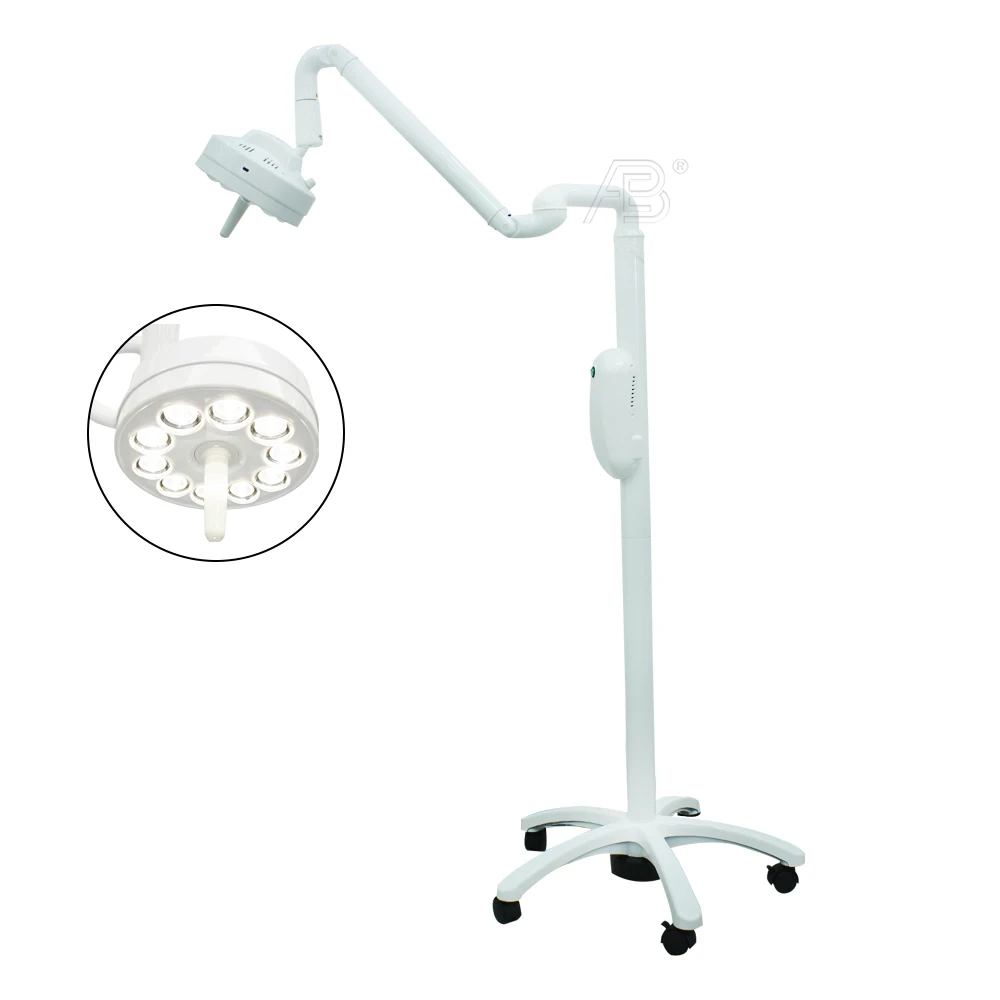 Wall Mounted 30W Oral Sensor Surgery LED Operating Lamp for Dentistry Implant Wall-Mounted LED Examination Lamp