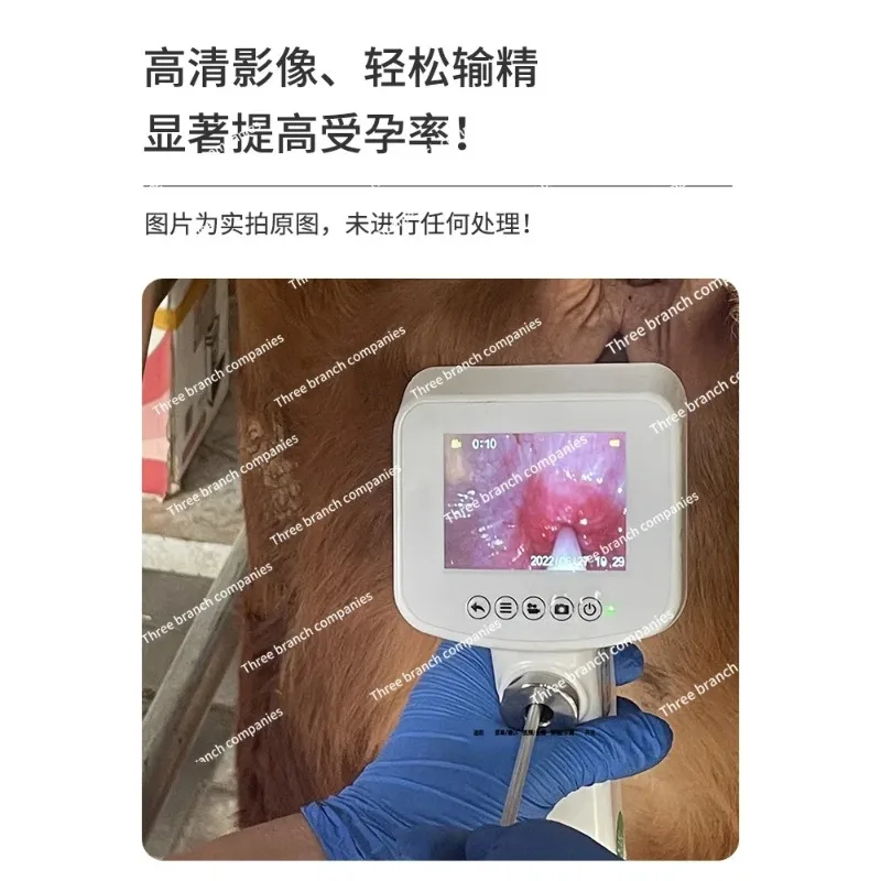 Cow-Carrying Visual Insemination Gu n Improved Sperm Infu sion Endoscope Cow Artificial Cold Matching