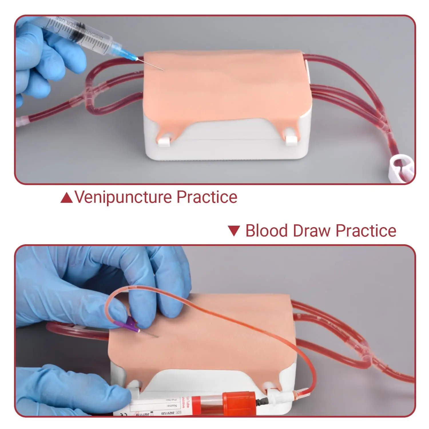 Medarchitect Phlebotomy Practice Kit IV Start Portable Kit Replaceable Parts Venipuncture Blood Draw Training for Nurse Medic view 3