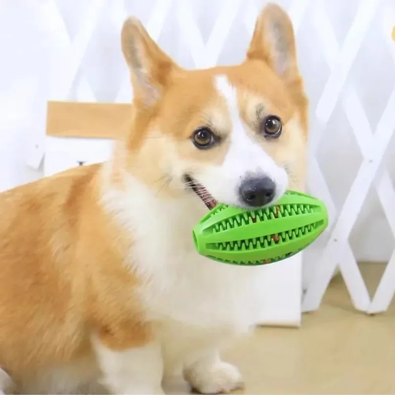 Thumbnail 2 - #14 Trending Dog Balls Right Now