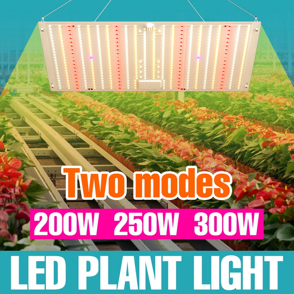 

300W LED Full Spectrum Plant Grow Light 220V Quantum Board Seedings Fill Lamp Greenhouse Tent Vegs Potted Cultivation Lighting