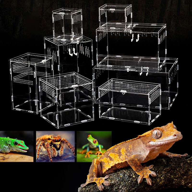 

Acrylic Reptile Breeding Box,Climbing Pet Breeding Box Transparent Acrylic Reptile Feeding Box Magnetic Pet Climbing Terrarium