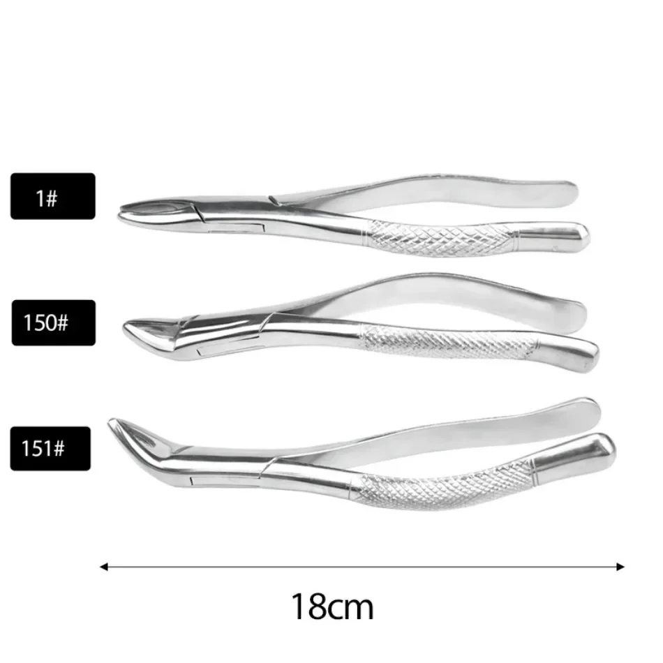 Dental Adult Stainless Steel Tooth Extraction Forceps Dentist Surgery Tooth Extraction Instrument Dental Residual Root Forceps