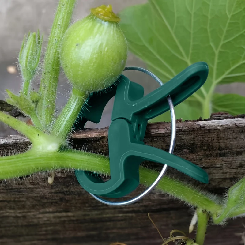 Adjustable Plant Clip Reusable Garden Support for Flowers, Vines, Vegetables and Tomatoes, Durable, Essential Garden Tool