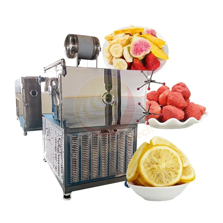 

Food Fruit Vegetable Fr eeze Dry Machine Vacuum Dryer With Good Price