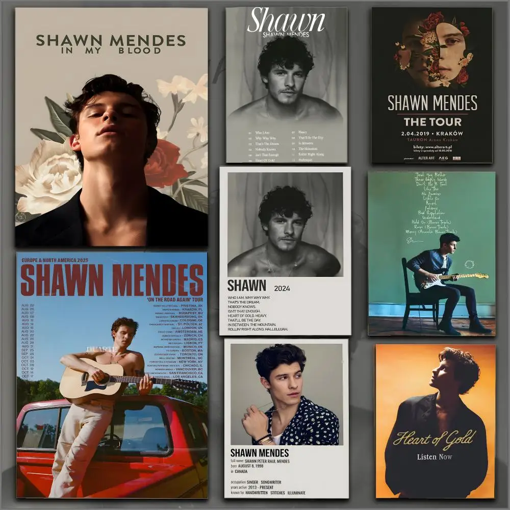 S-Shawn Mendes SINGER Poster Peel And Stick Matte Self Adhesive PVC Easy Apply Removable Waterproof Frameless Home Decor