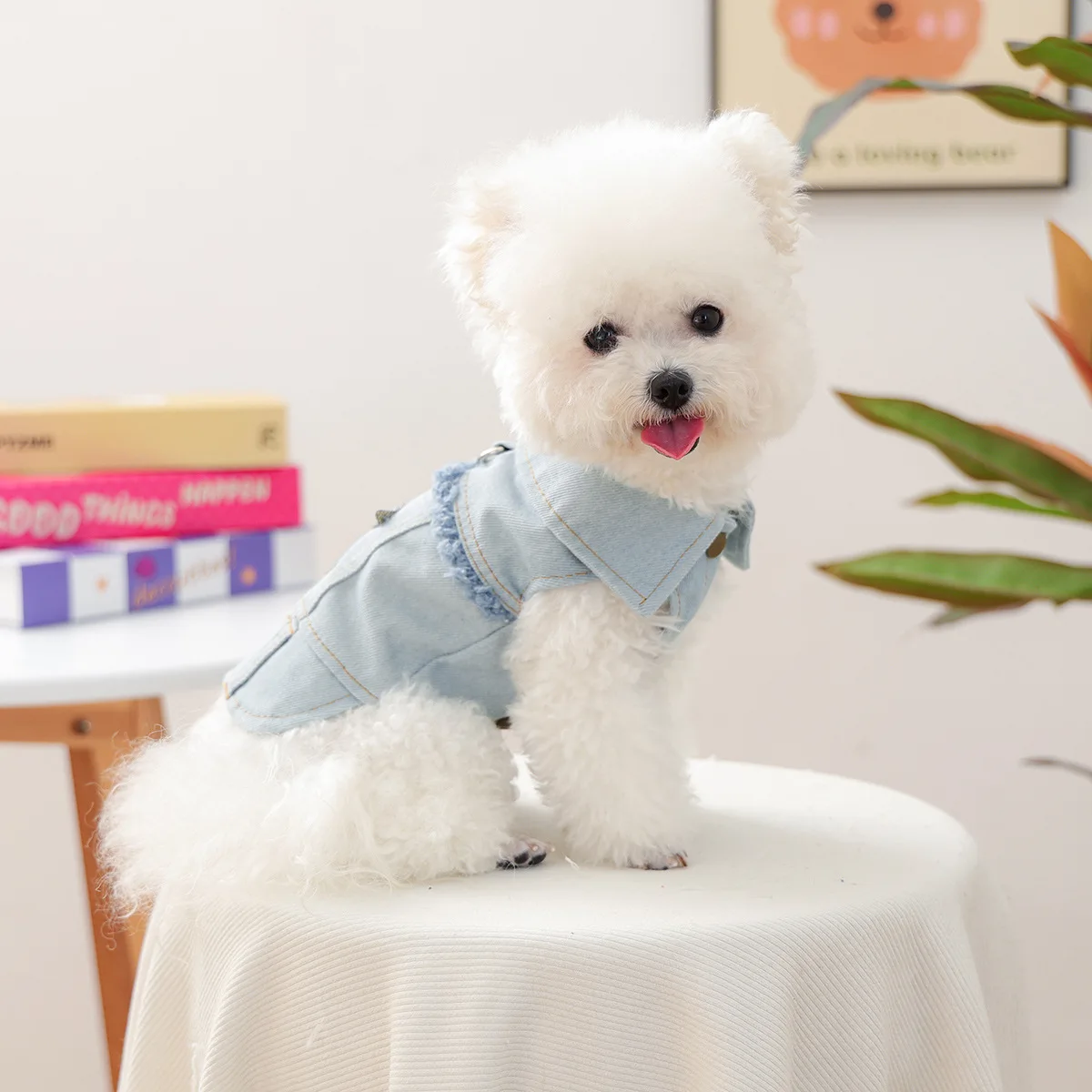 Pet Clothes Autumn And Winter Small Dog Puppy Handsome Cute Warm Comfortable Clothing Tassel Star Denim Jacket