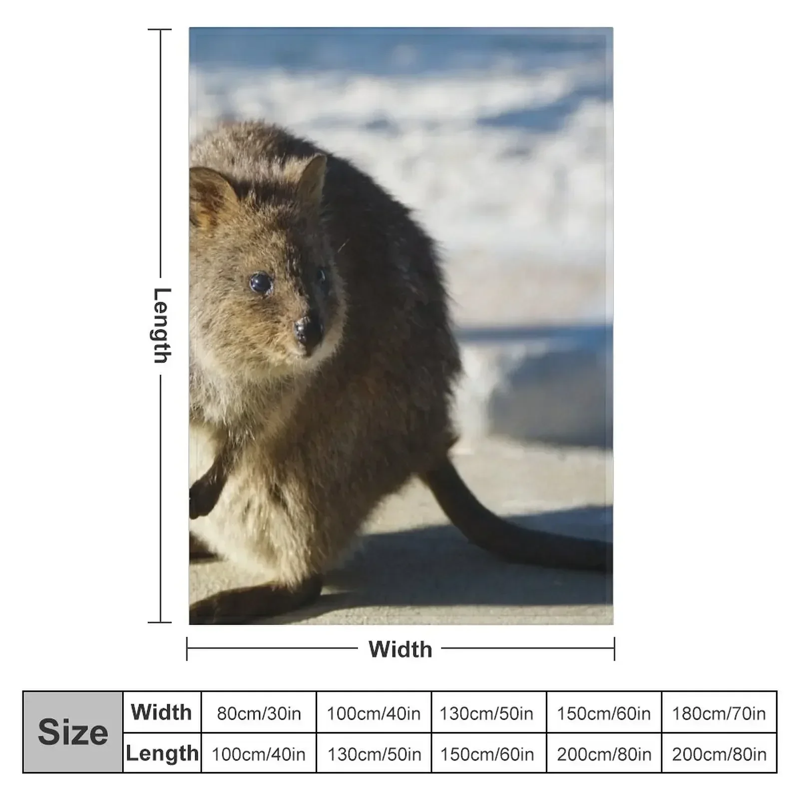 New Rottnest Quokka Throw Blanket Soft Beds Warm Custom Hairy Blankets