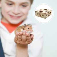 Hamster Maze Toy Wood for Pet Labyrinth Plaything Small Animal Mice Tunnel Puzzles