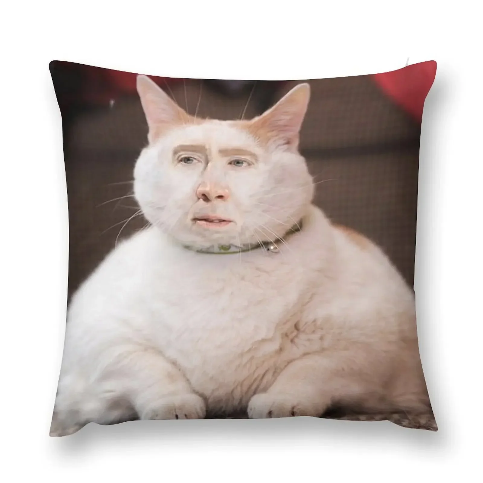 

Nicolas Cage Cat Throw Pillow Decorative Cushion Cover Sofa Covers Cushion Covers For Living Room Pillow Cases pillow