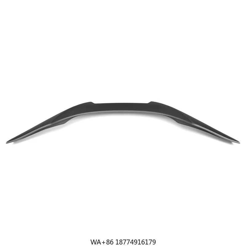 Dry Carbon Workmans… - image