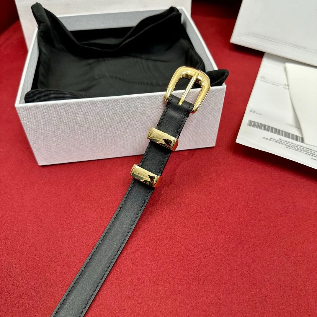 ウエストシール女性スムーズなカーフスキンスタイリッシュな多用途マッチスカートズボン結婚式ベルトホリデーギフトメタルゴールドバックルヘッド