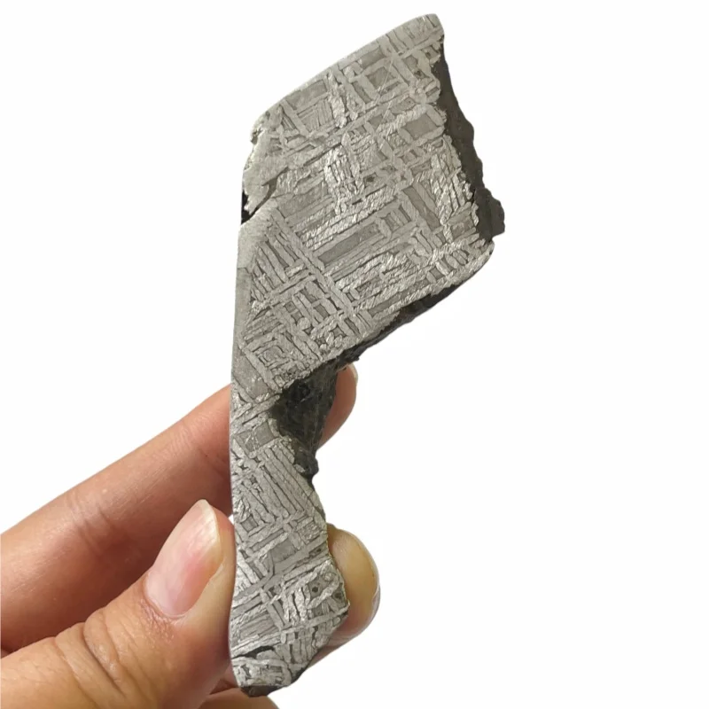 Muonionalusta Iron Meteorite Curved Irregular Slice Specimen Clear Widmanstätten Pattern For Collection And Display  QC898