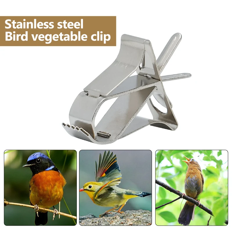 

Bird Fruit Clips Stainless Steel/Plastic Pet Vegetable Clips Parrot Small Animal Feeder Clip Feeding Tool Cage Accessories