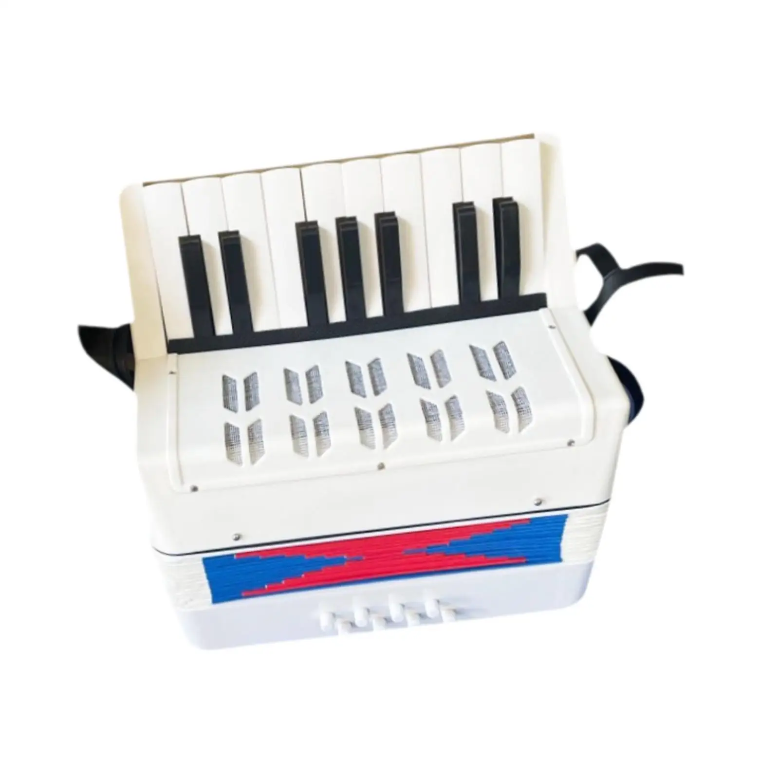 Beginner Piano Accordion 17 Keys Children Accordion Instrument Toy for Kids Music Start