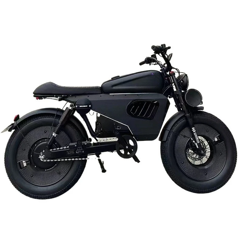 

Retro power male electric bicycle adult female off-road lithium battery bicycle pedal electric motorcycle